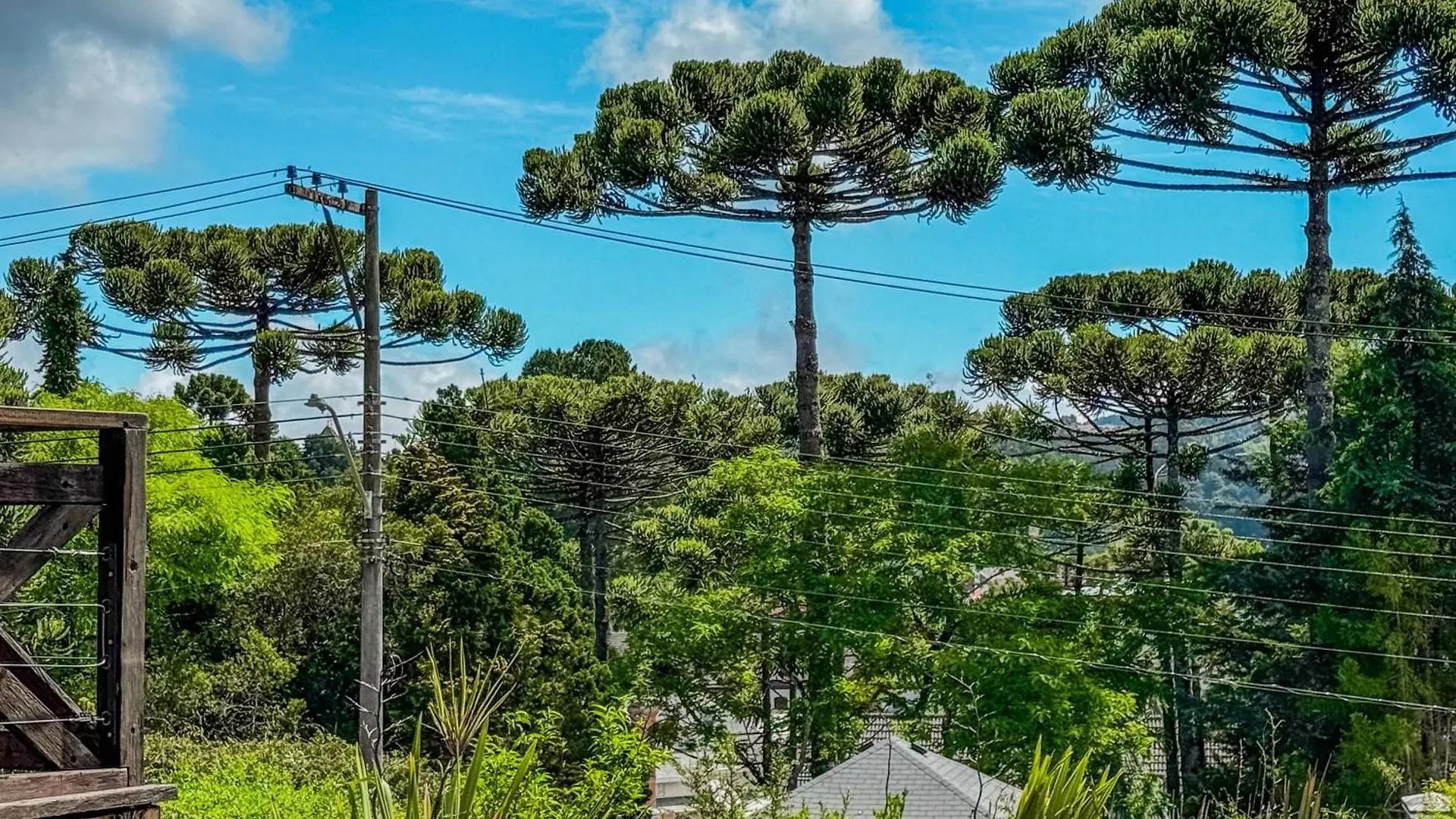 Pousada Victoria Villa By Nacional Inn - A 800 Metros Da Vila Capivari Campos do Jordao